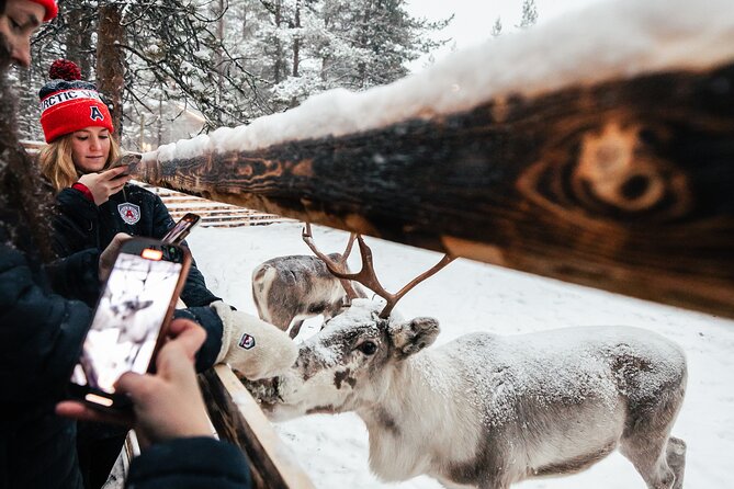 1 Day Pass Lapland Winter Park in Rovaniemi - Extra Activities and the Costs You Might Add