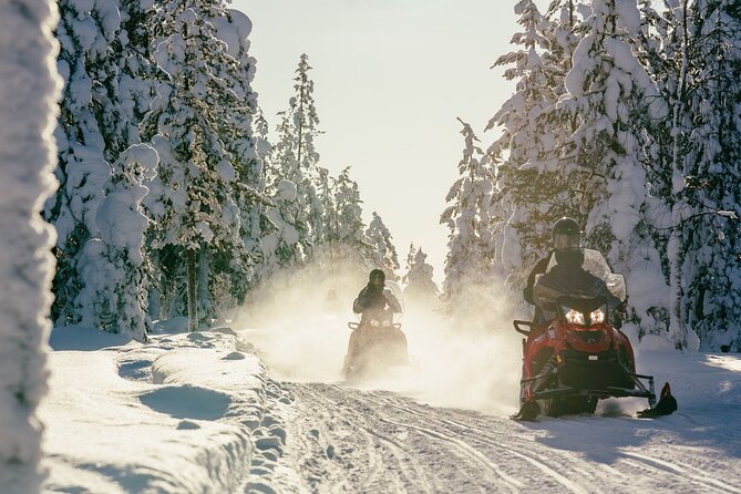 1 Hour Easy Snowmobile Safari in Levi - Kids on the route: sleigh options and height rules
