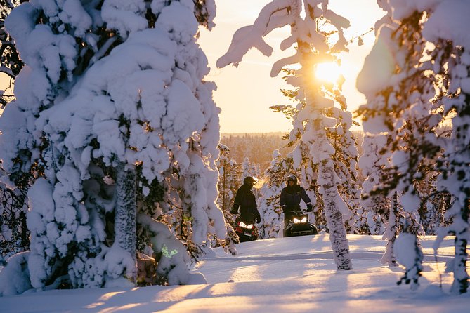 1-Hour Snowmobile Safari Experience - Check-in at Santa Claus Village and getting geared up