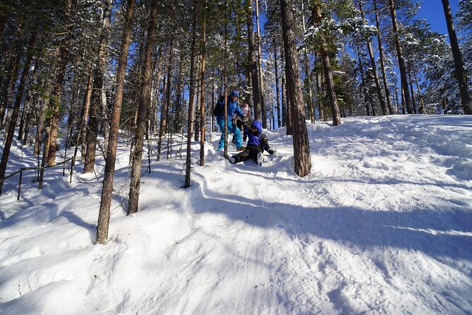 10 km Authentic Husky Safari in the Taiga Forest – Family Kennel - Key highlights to know before you go