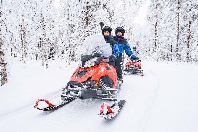 2 Hours Snowmobile Safari to the Levi Nature - Key Highlights Worth Planning For