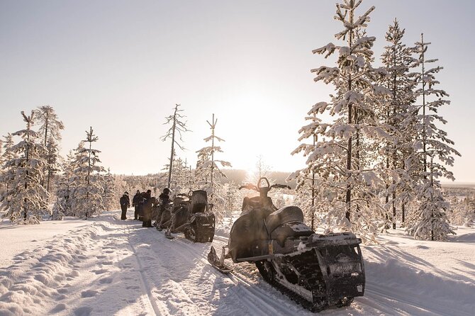 2 Hours Snowmobile Safari to the Levi Nature - Levi Snowmobile Safari, What It Really Delivers