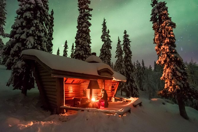 3-h Northern Light Safari by Snowmobiles From Levi - Stop in Levi: Stars, Forest Views, Moonlight, and Aurora Hunting