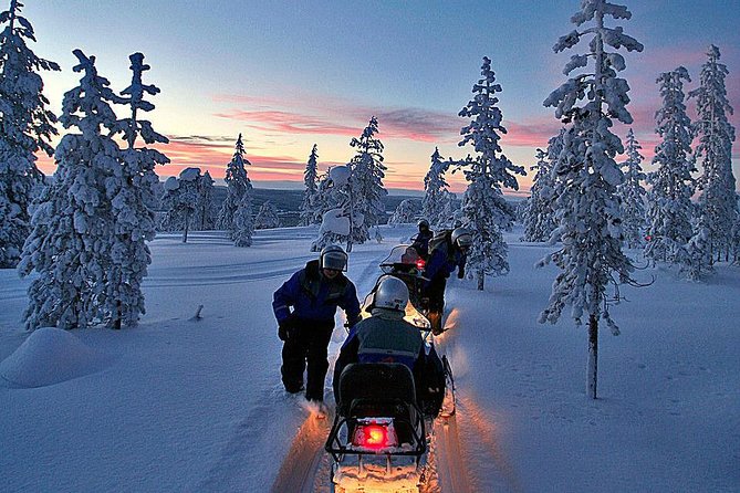 3-h Northern Light Safari by Snowmobiles From Levi - Families and First-Timers: The Sled Option That Keeps Everyone Included