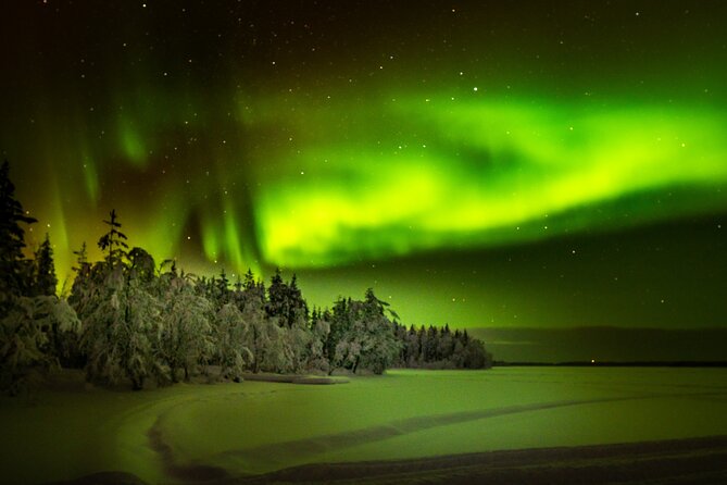 3-Hour Snowmobile Safari to Search Northern Lights in Levi - What the guides actually do, beyond pointing at the sky