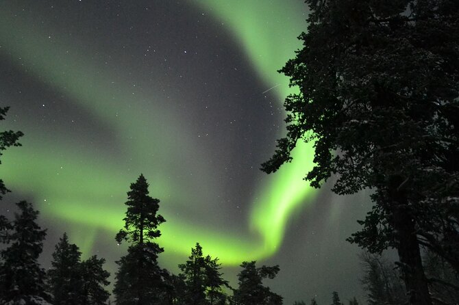 3-Hour Snowmobile Safari to Search Northern Lights in Levi - Northern lights reality check: what you can and can’t control