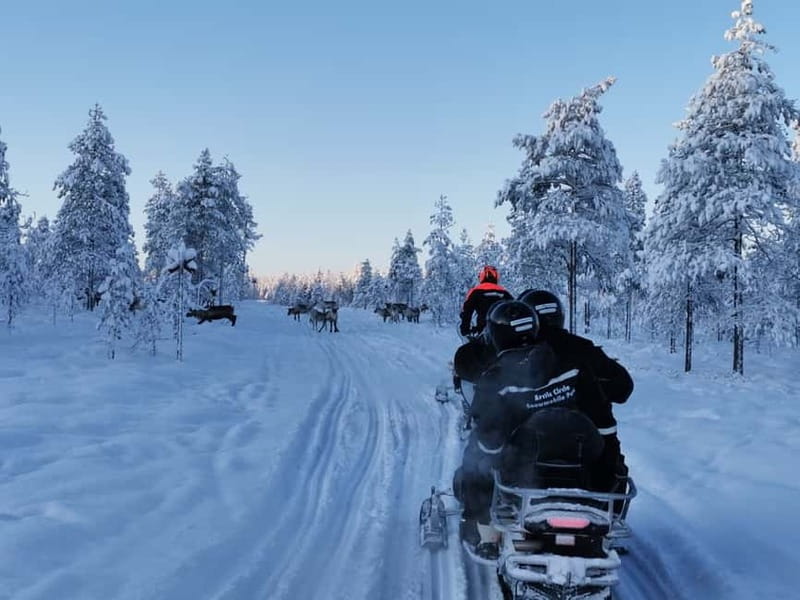 3-Hour Snowmobiling Adventure in Levi - First, the Arctic Ride Setup: Gear, License, and Driver Rules