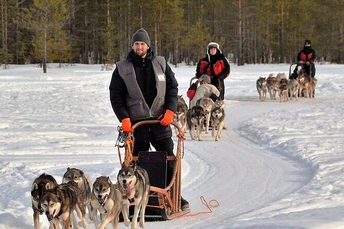 5KM Husky Sled Ride from Levi - Warm Up After: Hot Berry Juice, Coffee or Tea, Cookies, and Cozy Shelter Time