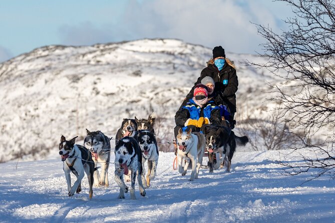 5KM Husky Sled Ride from Levi - Who This Husky Ride Fits Best, and Who Might Want Another Option