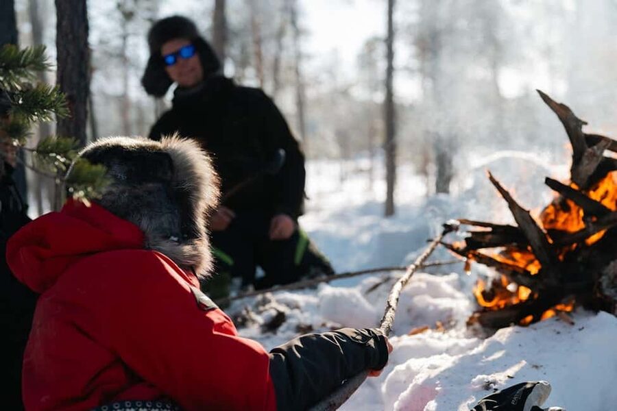 A day with reindeer herders in the wilderness - From Ivalo Pickup to Real Winter Work