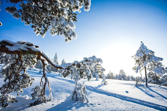All Day Snowmobile Driving - Lunch, snacks, and ice fishing when the weather behaves