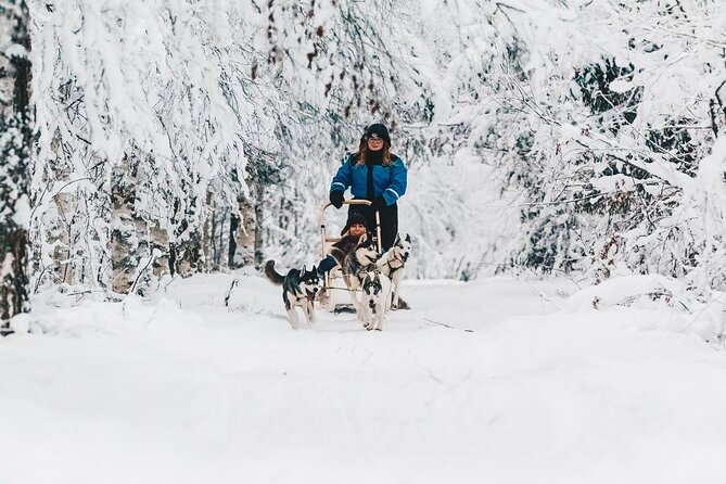 Apukka Husky Adventure in Rovaniemi - Getting there smoothly: pickup, arrival, and check-in timing