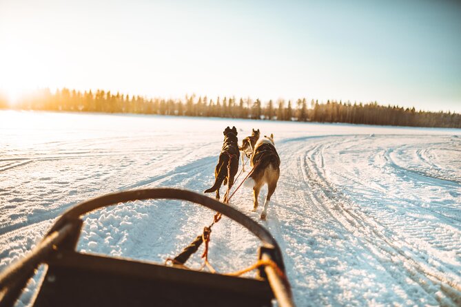 Apukka Husky Adventure in Rovaniemi - The briefing: how you actually learn to guide a husky sled