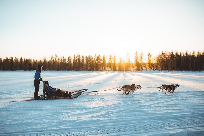 Apukka Husky Adventure in Rovaniemi - Warm up at the fire: hot lingonberry juice, cookies, and a relaxed reset