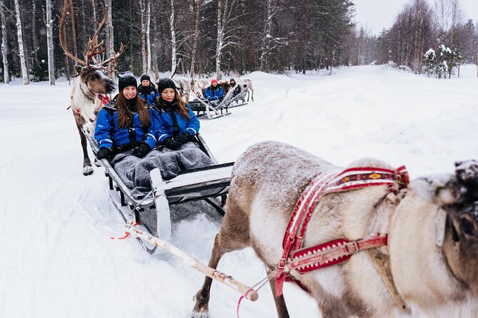 Apukka Reindeer Journey - Photos and practical tips to make the 2 hours feel longer