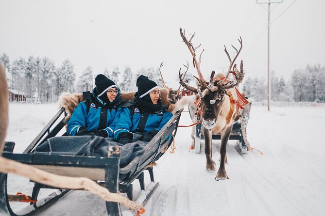 Apukka Reindeer Journey - Price, group size, and what you’re really paying for