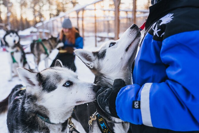 Apukka Snow and Fun, Rovaniemi - Morning pickup, meeting point, and how logistics affect your experience