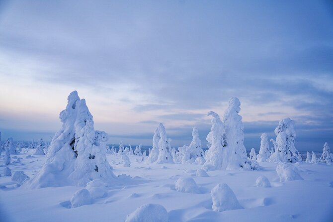 Arctic Adventure through Magical Frozen Forests of Riisitunturi - Key highlights to know before you go