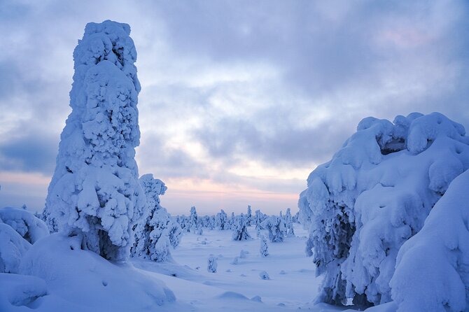 Arctic Adventure through Magical Frozen Forests of Riisitunturi - Campfire snack and warmth, right in the middle of the day