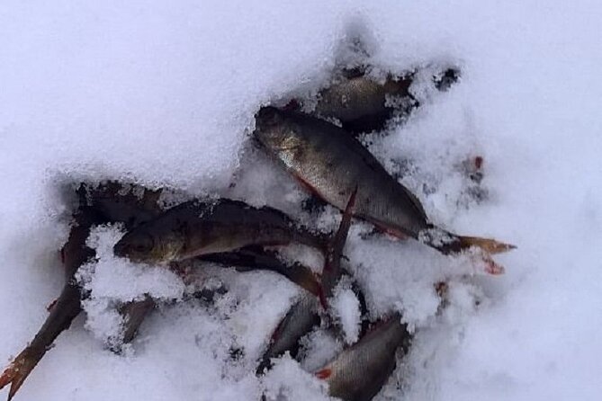 Arctic Day with Ice Fishing and Floating - Rovaniemi Arctic, with pickup that keeps your day simple