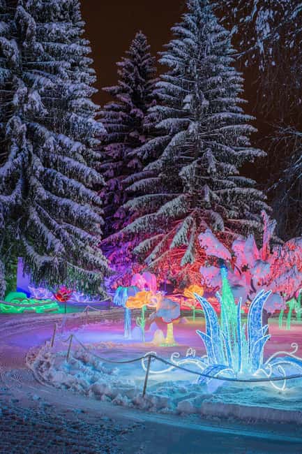 Arctic Fantasy Park Entry Ticket - Quick hits: what makes this park ticket work