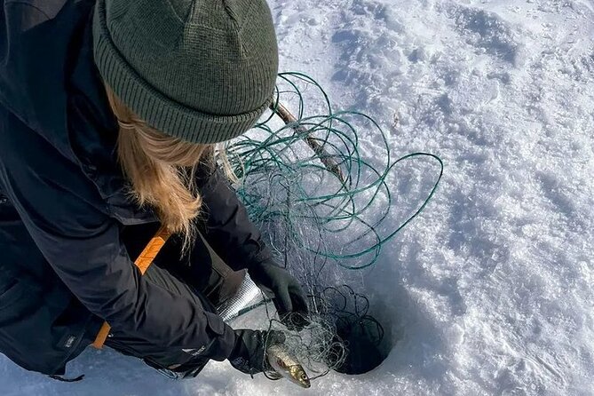 Arctic Fishing & Open Fire Cooking - Juomustus Net Fishing Under the Ice: A Different Kind of Skill