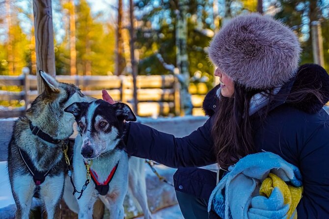 Arctic Husky Adventure in Rovaniemi - Rovaniemi Husky Adventure Timing: Why 2.5 Hours Feels Tight and Cozy