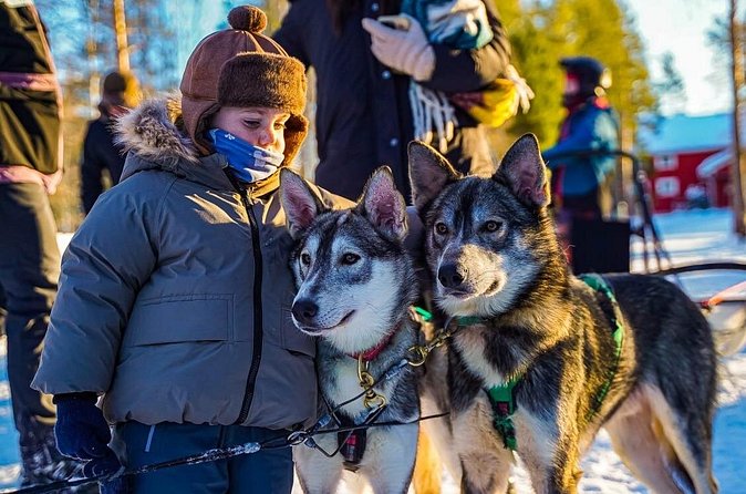 Arctic Husky Adventure in Rovaniemi - Kennel Visit and Kota Warm-Up: The Part That Makes It More Than a Ride