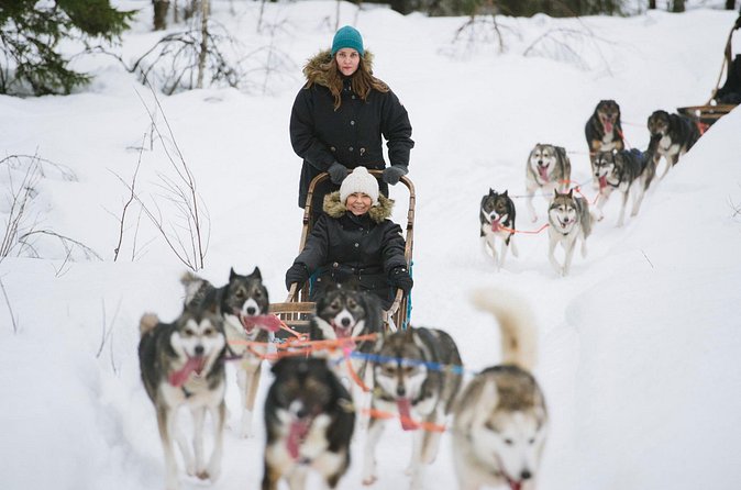 Arctic Husky Adventure in Rovaniemi - What’s Included (and What You’ll Need to Plan Yourself)