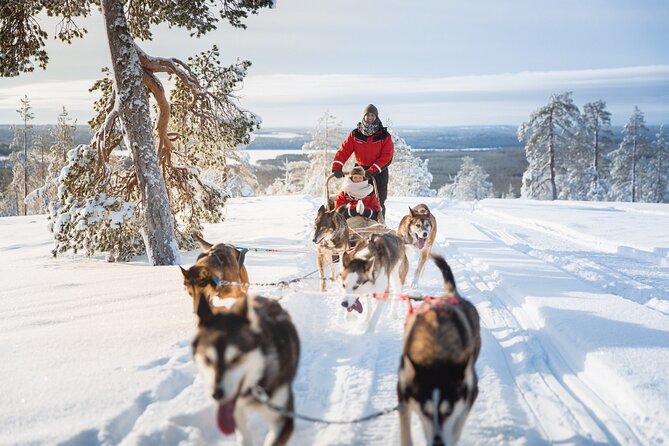 Arctic Husky Adventure in Rovaniemi - Meeting Point and Transport: The Easy Part You Still Plan For