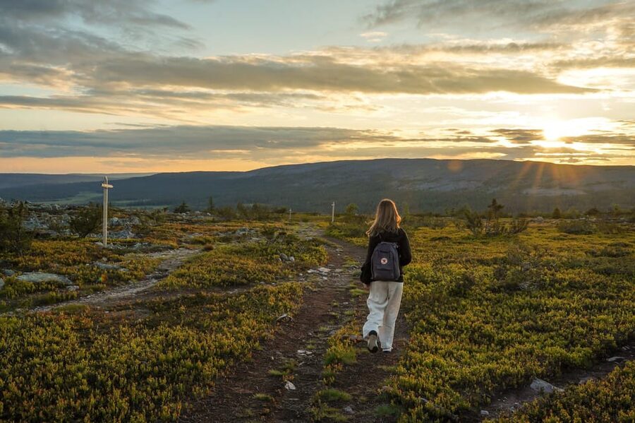 Arctic Wilderness Hike from Rovaniemi (Day & Evening) - Survival basics you can use back home, from footprints to foraging ideas