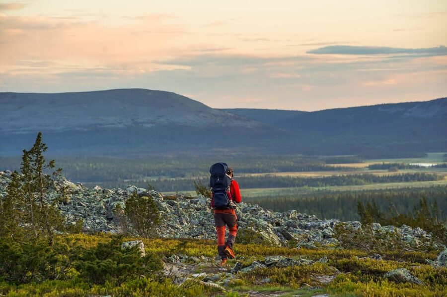 Arctic Wilderness Hike from Rovaniemi (Day & Evening) - Is the $117 price fair? Value for money in Lapland time
