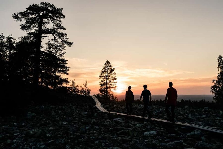 Arctic Wilderness Hike from Rovaniemi (Day & Evening) - Timing in Rovaniemi: midnight sun, white nights, and possible northern lights