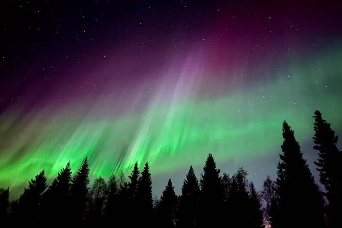 Aurora BBQ in the Private Place in Rovaniemi - Key Things That Make This Aurora BBQ Different