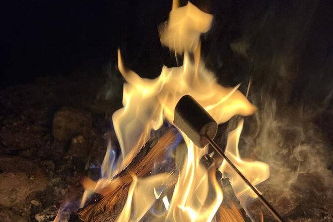 Aurora BBQ in the Private Place in Rovaniemi - From City Center to a Dark, Private Spot in About 15 Minutes