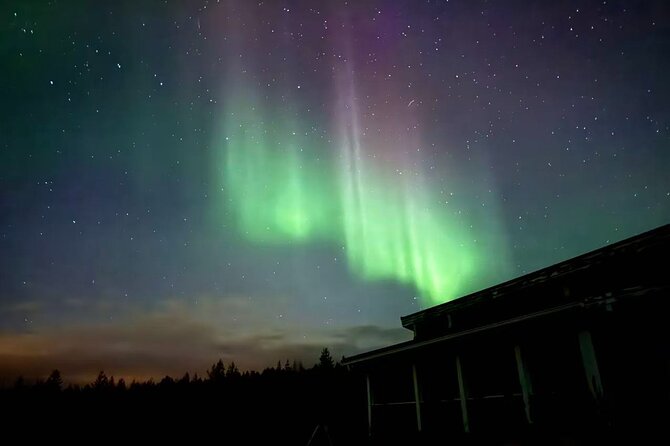 Aurora BBQ in the Private Place in Rovaniemi - Who This Aurora BBQ Fits Best (And Who Should Skip It)