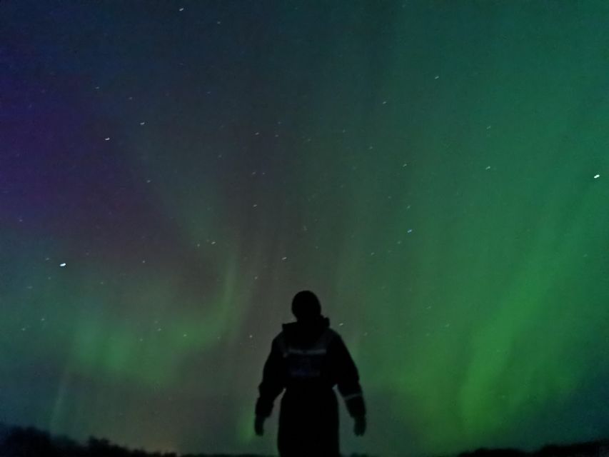 Aurora BBQ in the Private Place in Rovaniemi - Tips to Get the Most From Your Aurora Evening