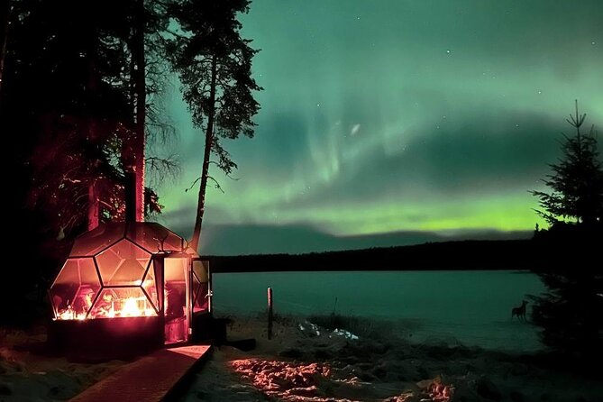 Aurora Borealis Dinner in a Glass Igloo - Who This Trip Fits Best