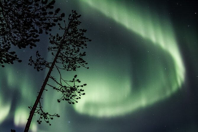 Aurora Borealis Picnic in Rovaniemi - Winter clothing, night vision, and how to stay comfortable