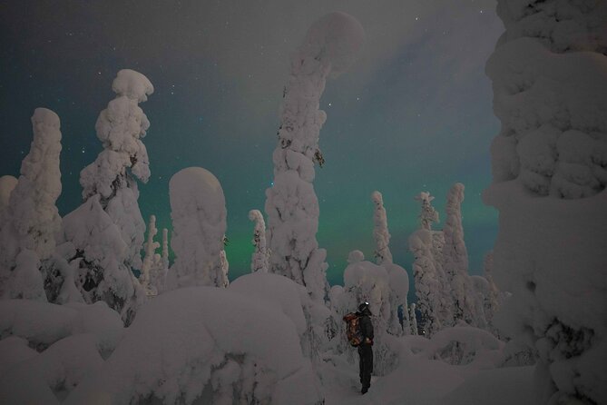 Aurora Borealis Snowshoeing Adventure by Night from Rovaniemi - Key highlights worth knowing