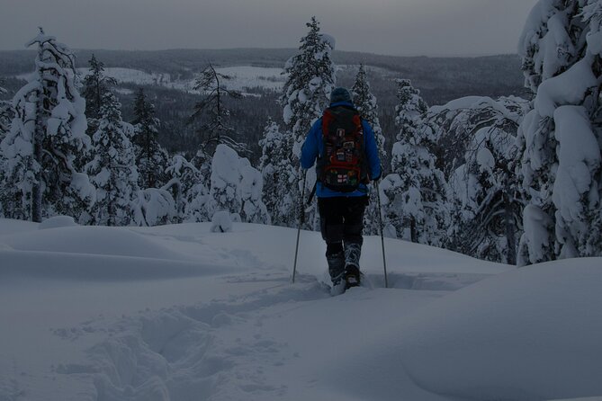 Aurora Borealis Snowshoeing Adventure by Night from Rovaniemi - Getting there smoothly in Rovaniemi: meet point, pickup, and timing