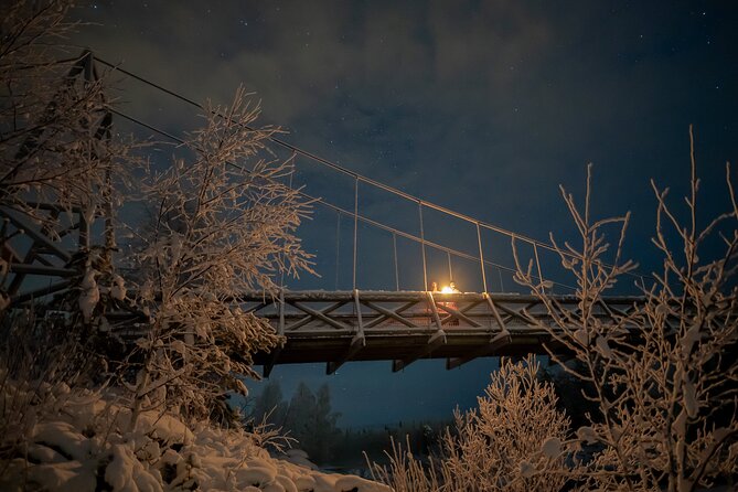 Aurora Borealis Snowshoeing Adventure by Night from Rovaniemi - The walk itself: Lapland at night, forests, and view spots