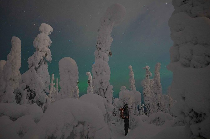 Aurora Borealis Snowshoeing Adventure by Night from Rovaniemi - Small group size: why up to 8 people feels better in the dark