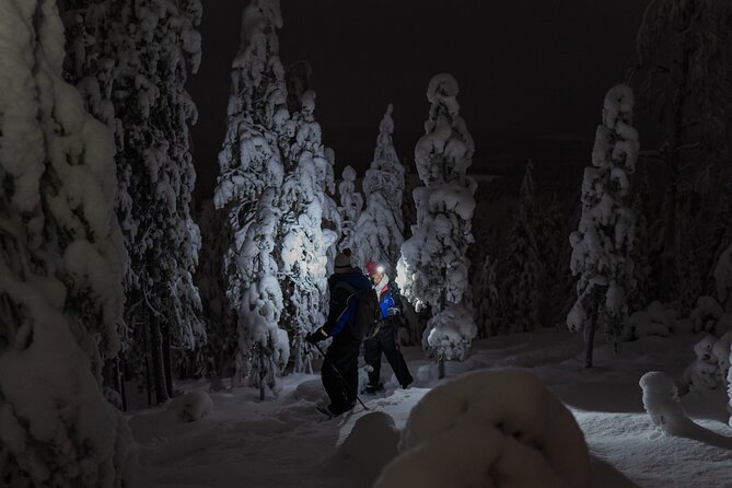 Aurora Borealis Snowshoeing Adventure by Night from Rovaniemi - Price and value: what $150.60 covers (and what it does not)