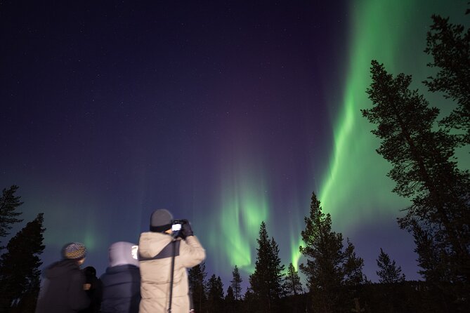 Aurora Hunting by Minivan in Ivalo, Inari or Saariselkä - Stop 1: the first Ivalo viewing break and early-scout energy