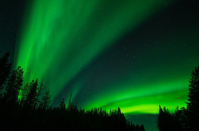 Aurora Hunting by Minivan in Ivalo, Inari or Saariselkä - Stop 3: driving back while the sky changes