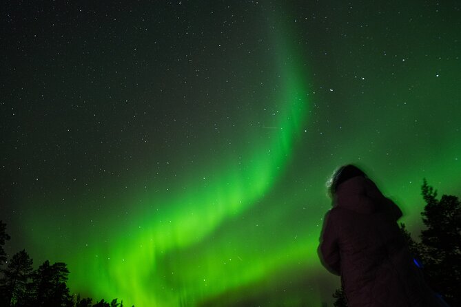Aurora Hunting by Minivan in Ivalo, Inari or Saariselkä - Stop 4: longer search for auroras around Ivalo, Inari, or Saariselkä