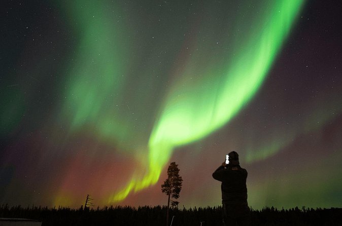 Aurora Hunting by Minivan in Ivalo, Inari or Saariselkä - Comfort and practical gear: what makes the night easier