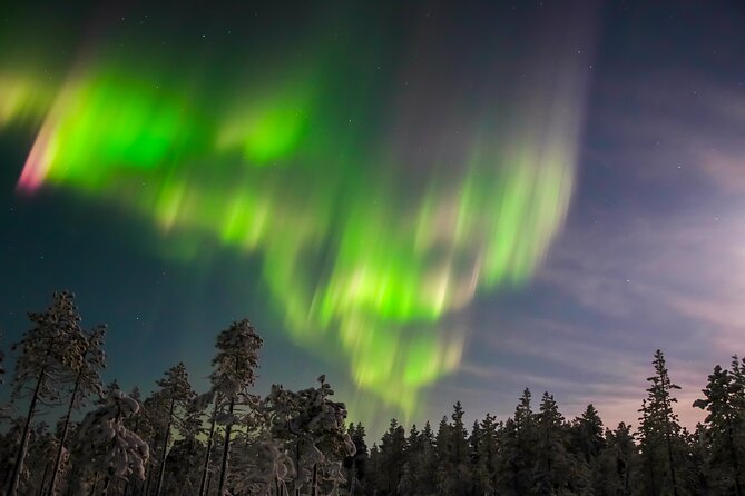 Aurora Photo Experience by Car from Saariselkä - Key highlights you’ll actually feel during the hunt