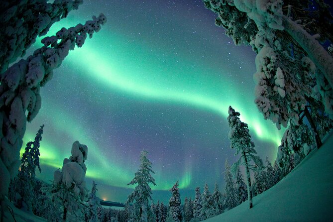 Aurora Photo Experience by Car from Saariselkä - Why a 3-hour car safari makes northern lights sense in Saariselkä